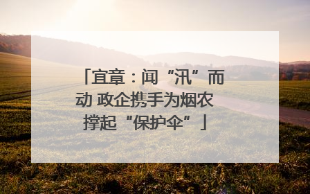 宜章：闻“汛”而动 政企携手为烟农撑起“保护伞”