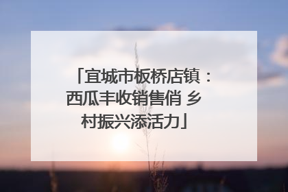 宜城市板桥店镇：西瓜丰收销售俏 乡村振兴添活力