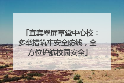 宜宾翠屏草堂中心校：多举措筑牢安全防线，全方位护航校园安全