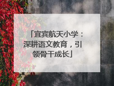 宜宾航天小学：深耕语文教育，引领骨干成长
