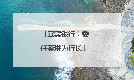 宜宾银行：委任蒋琳为行长