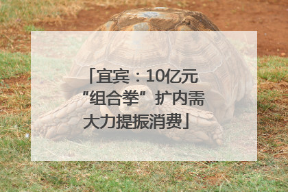 宜宾：10亿元“组合拳”扩内需 大力提振消费