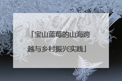 宝山蓝莓的山海跨越与乡村振兴实践