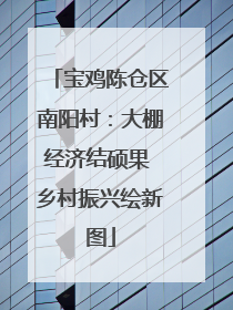 宝鸡陈仓区南阳村：大棚经济结硕果 乡村振兴绘新图