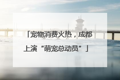 宠物消费火热，成都上演“萌宠总动员”