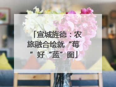 宣城旌德：农旅融合绘就“莓”好“蓝”图