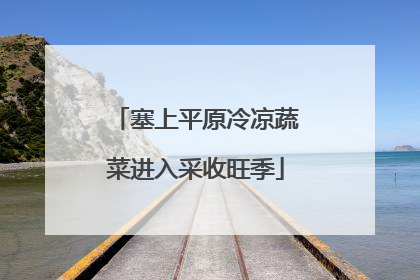 塞上平原冷凉蔬菜进入采收旺季