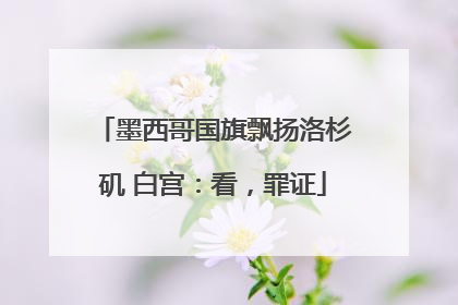 墨西哥国旗飘扬洛杉矶 白宫：看，罪证
