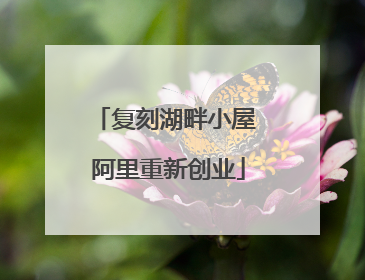 复刻湖畔小屋 阿里重新创业
