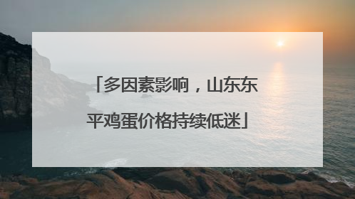 多因素影响，山东东平鸡蛋价格持续低迷