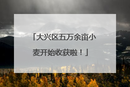 大兴区五万余亩小麦开始收获啦！