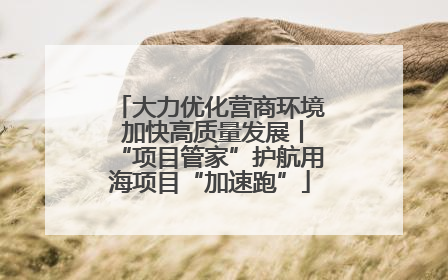 大力优化营商环境 加快高质量发展丨“项目管家”护航用海项目“加速跑”
