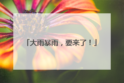 大雨暴雨，要来了！