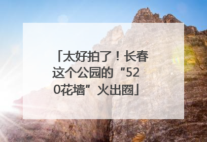 太好拍了！长春这个公园的“520花墙”火出圈