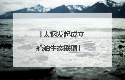太钢发起成立船舶生态联盟