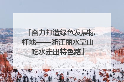 奋力打造绿色发展标杆地——浙江丽水靠山吃水走出特色路
