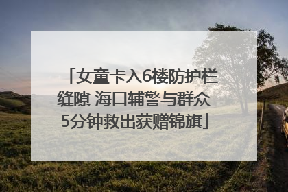 女童卡入6楼防护栏缝隙 海口辅警与群众5分钟救出获赠锦旗