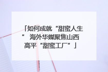 如何成就“甜蜜人生” 海外华媒聚焦山西高平“甜蜜工厂”