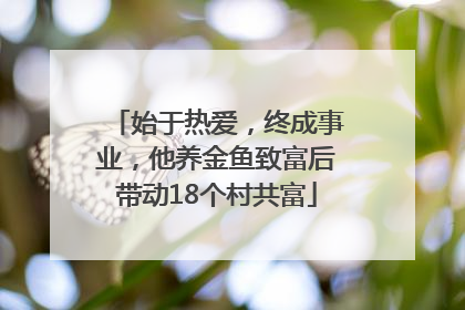 始于热爱，终成事业，他养金鱼致富后带动18个村共富