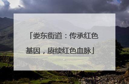 娄东街道：传承红色基因，赓续红色血脉