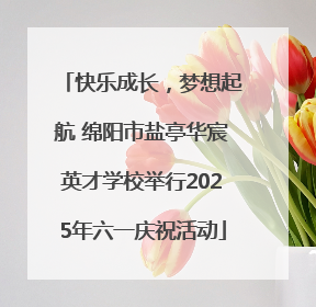 快乐成长，梦想起航 绵阳市盐亭华宸英才学校举行2025年六一庆祝活动
