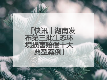 快讯丨湖南发布第三批生态环境损害赔偿十大典型案例