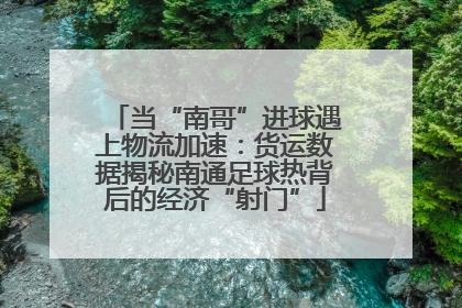当“南哥”进球遇上物流加速：货运数据揭秘南通足球热背后的经济“射门”