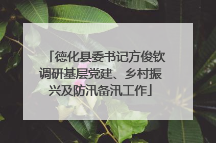 德化县委书记方俊钦调研基层党建、乡村振兴及防汛备汛工作