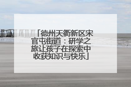 德州天衢新区宋官屯街道：研学之旅让孩子在探索中收获知识与快乐