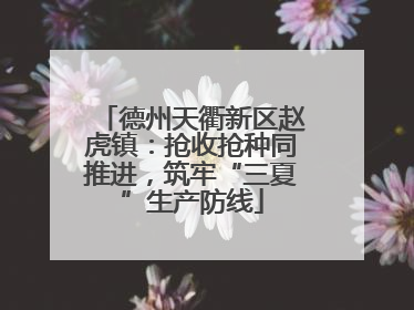 德州天衢新区赵虎镇：抢收抢种同推进，筑牢“三夏”生产防线