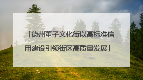 德州董子文化街以高标准信用建设引领街区高质量发展