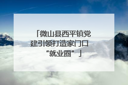 微山县西平镇党建引领打造家门口“就业圈”