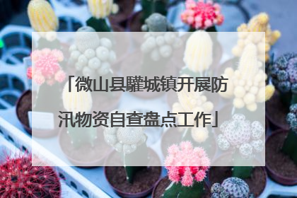微山县驩城镇开展防汛物资自查盘点工作