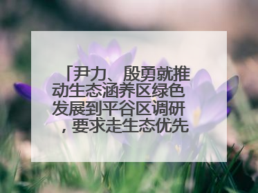 尹力、殷勇就推动生态涵养区绿色发展到平谷区调研，要求走生态优先、绿色低碳的高质量发展之路