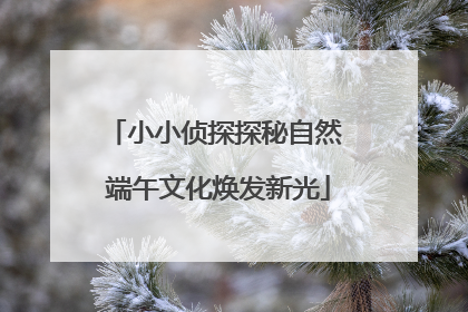 小小侦探探秘自然 端午文化焕发新光