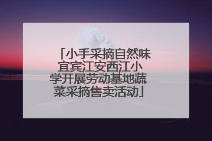 小手采摘自然味 宜宾江安西江小学开展劳动基地蔬菜采摘售卖活动