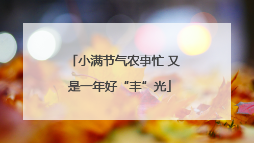 小满节气农事忙 又是一年好“丰”光
