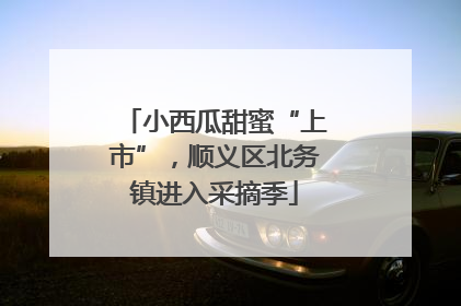 小西瓜甜蜜“上市”，顺义区北务镇进入采摘季