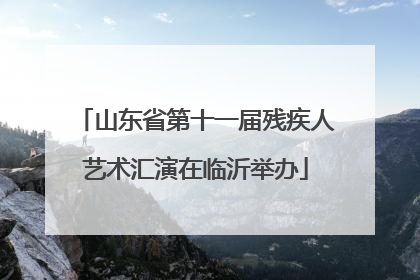 山东省第十一届残疾人艺术汇演在临沂举办