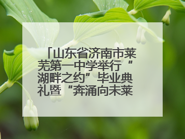 山东省济南市莱芜第一中学举行“湖畔之约”毕业典礼暨“奔涌向未莱”主题毕业晚会