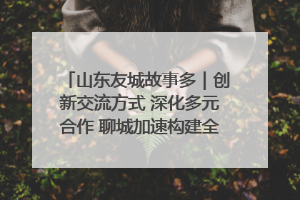 山东友城故事多｜创新交流方式 深化多元合作 聊城加速构建全球友城新格局
