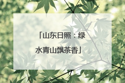 山东日照：绿水青山飘茶香