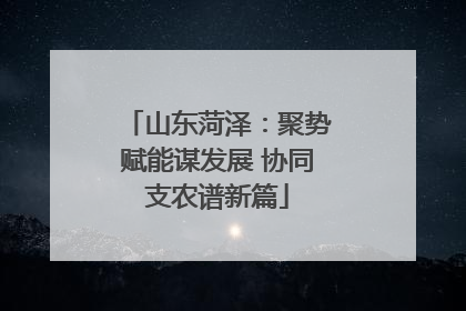 山东菏泽：聚势赋能谋发展 协同支农谱新篇