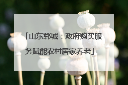 山东郓城：政府购买服务赋能农村居家养老