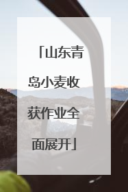 山东青岛小麦收获作业全面展开
