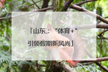 山东：“体育+”引领假期新风尚