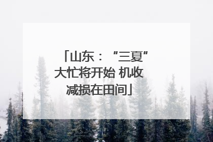 山东：“三夏”大忙将开始 机收减损在田间