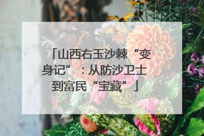 山西右玉沙棘“变身记”：从防沙卫士到富民“宝藏”