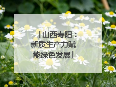 山西寿阳：新质生产力赋能绿色发展