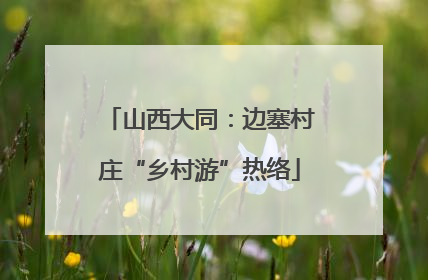 山西大同：边塞村庄“乡村游”热络